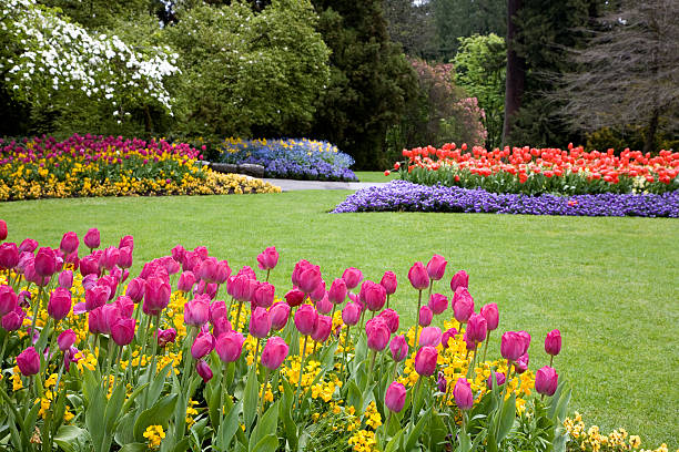 4,851,300+ Flower Garden Stock Photos, Pictures & Royalty-Free Images -  iStock | Flowers, Flower border, Garden