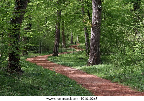 Walking Path Forest Walking Path Woods Stock Photo 101010265 | Shutterstock
